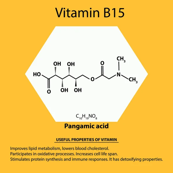 Vitamina B15. Ácido Pangámico Fórmula química molecular. Propiedades útiles de la vitamina. Infografías. Ilustración vectorial sobre fondo aislado . — Archivo Imágenes Vectoriales