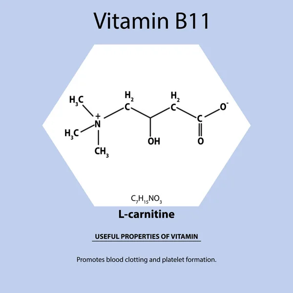 Vitamina B11. L-carnitina Fórmula química molecular Propiedades útiles de la vitamina. Infografías. Ilustración vectorial sobre fondo aislado . — Vector de stock
