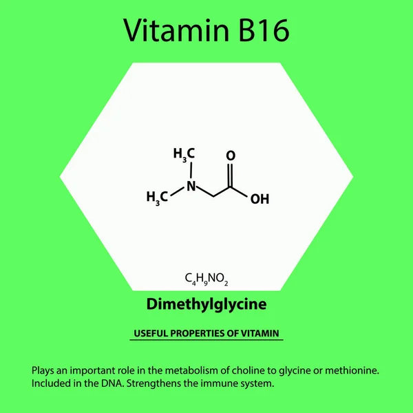 Vitamina B16. dimetilglicina Fórmula química molecular Propiedades útiles de la vitamina. Infografías. Ilustración vectorial sobre fondo aislado . — Archivo Imágenes Vectoriales