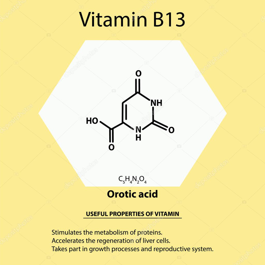 Vitamin B13. Orotic acid Molecular chemical formula. Useful properties of vitamin. Infographics. Vector illustration on isolated background.