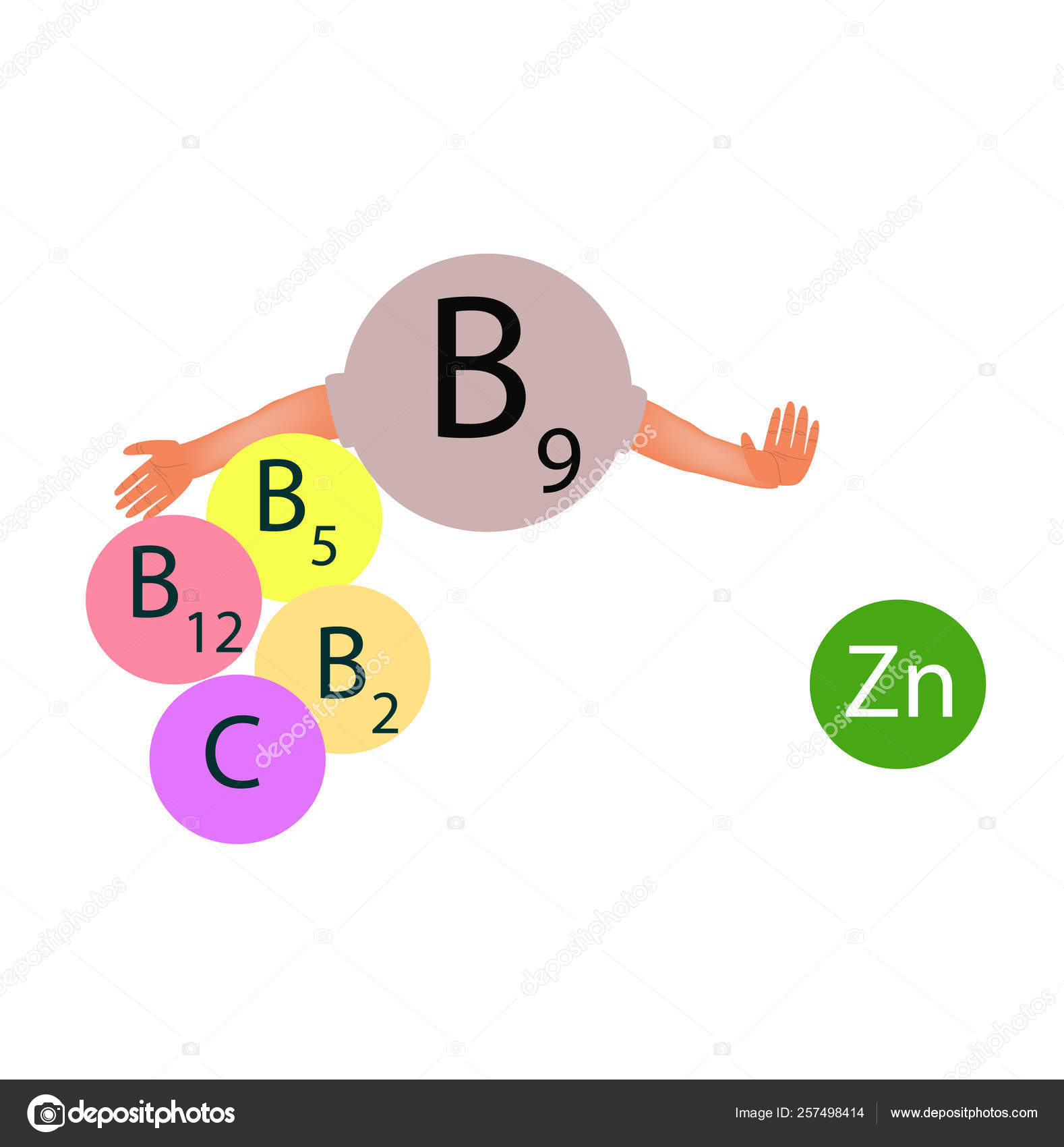 Vitamin B9 Compatibility With Other Vitamins And Minerals