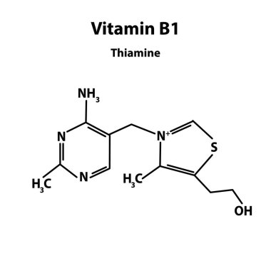 B1 vitamini. Tiamin Moleküler kimyasal formülü. ınfographics. Yalıtılmış arka planda vektör çizimi.
