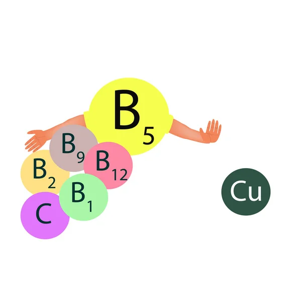 Compatibilidade da vitamina B5 com outras vitaminas e minerais. Infográficos. Ilustração vetorial sobre fundo isolado . — Vetor de Stock