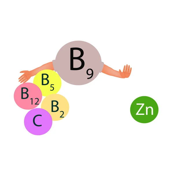 Compatibilidade da vitamina B9 com outras vitaminas e minerais. Infográficos. Ilustração vetorial sobre fundo isolado . —  Vetores de Stock