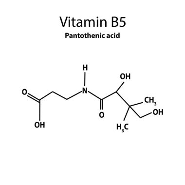B5 vitamini. Pantotenik asit Moleküler kimyasal formülü. ınfographics. Yalıtılmış arka planda vektör çizimi.