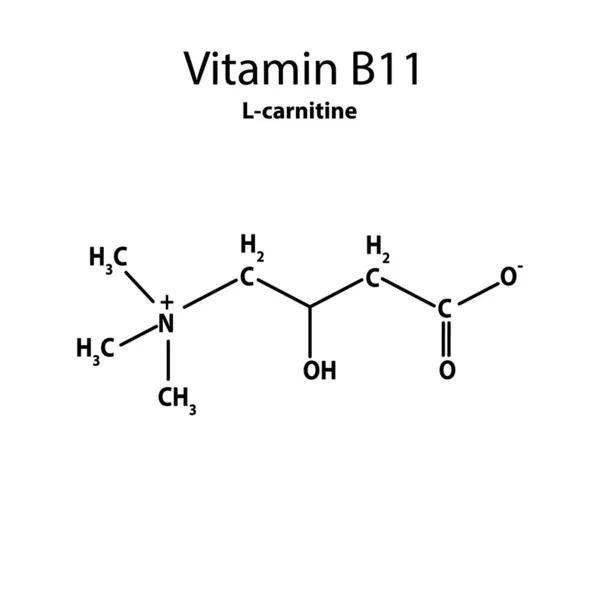 Witamina B11. L-karnityna Molekularna formuła chemiczna. Infografika. Ilustracja wektora na pojedynczym tle. — Wektor stockowy