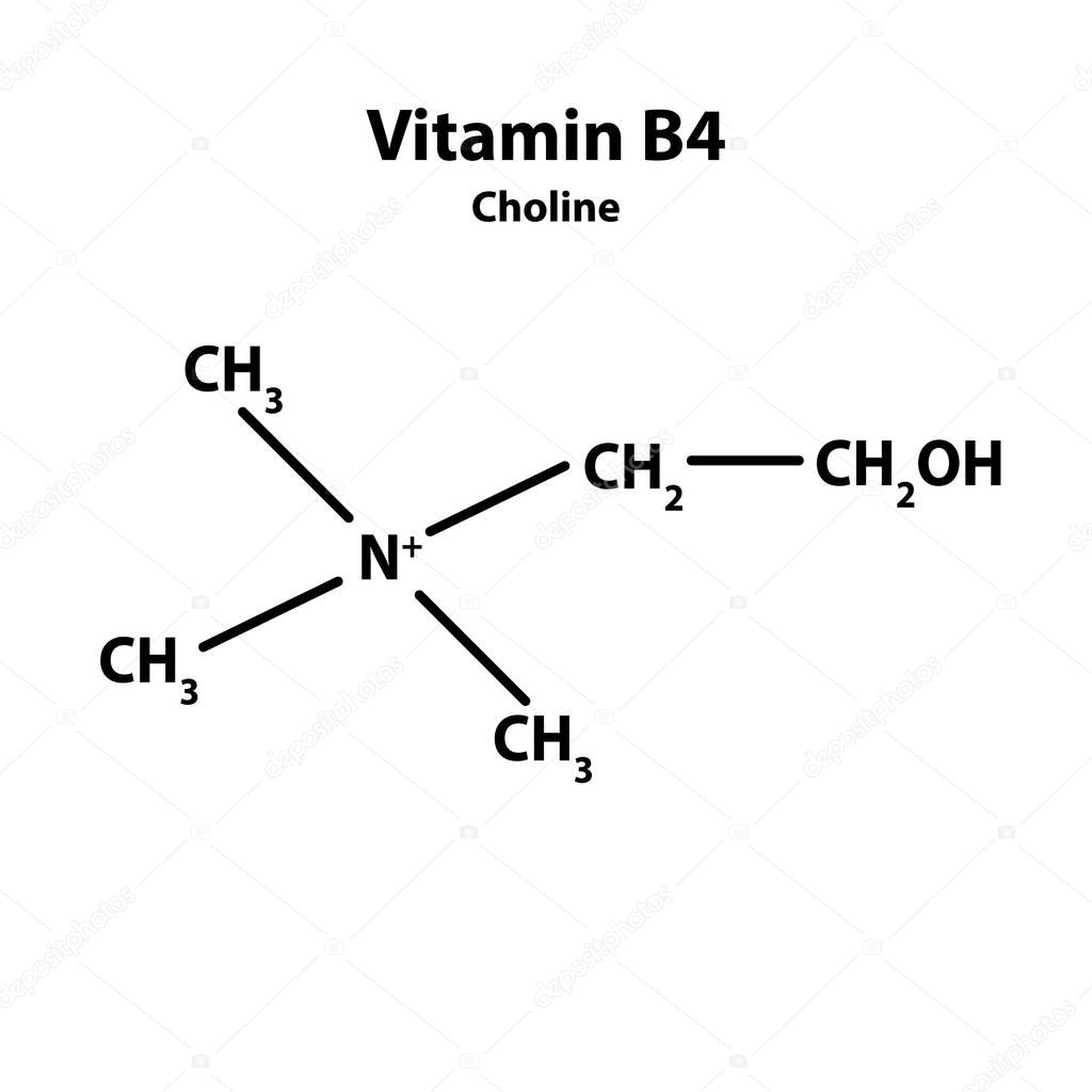 Vitamin B4. Choline Molecular chemical formula. Infographics. Vector illustration on isolated background.
