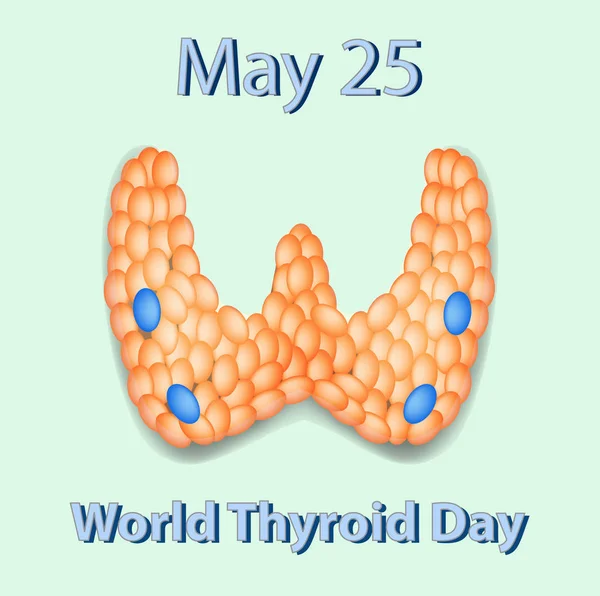 Día Mundial de la Tiroides. 25 de mayo. La estructura de la glándula tiroides. Ilustración vectorial . — Vector de stock