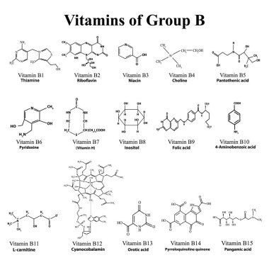 Suda çözünen vitaminler ayarlanır. B grubu vitaminler. ınfographics. Yalıtılmış bir arka plan üzerinde vektör çizimi.