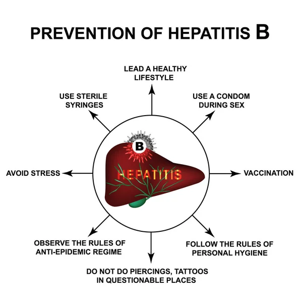 B型肝炎の世界肝炎の予防インフォグラフィック。分離された背景のベクトルイラストレーション. — ストックベクタ