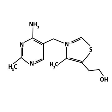 B1 vitamini. Tiamin Moleküler kimyasal formülü. ınfographics. Yalıtılmış arka planda vektör çizimi.