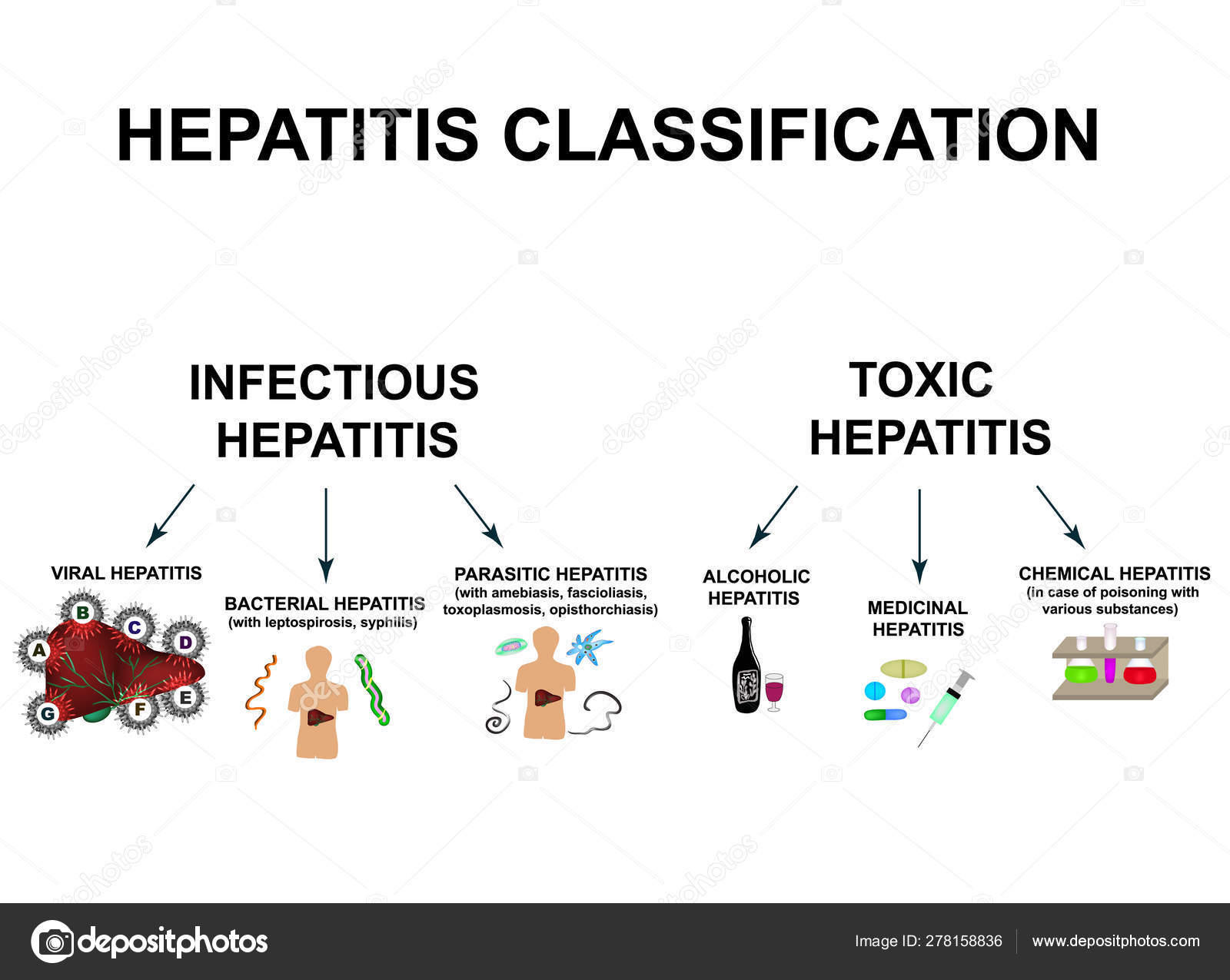 Types Of Viral Hepatitis Hepatitis A B C D E F G World Hepatitis Day Infographics Vector Illustration On Isolated Background Stock Vector Image By C Mikrostoker