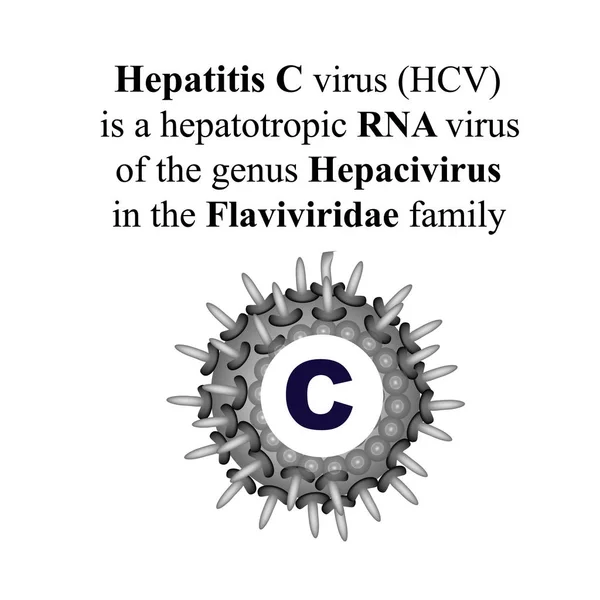 Hepatitis C. Día Mundial de la Hepatitis. Infografías. Ilustración vectorial sobre fondo aislado . — Vector de stock