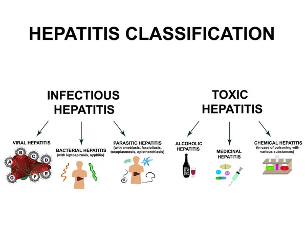 Tipos de hepatitis viral. Hepatitis A, B, C, D, E, F, G. Día Mundial de la Hepatitis. Infografías. Ilustración vectorial sobre fondo aislado . — Vector de stock