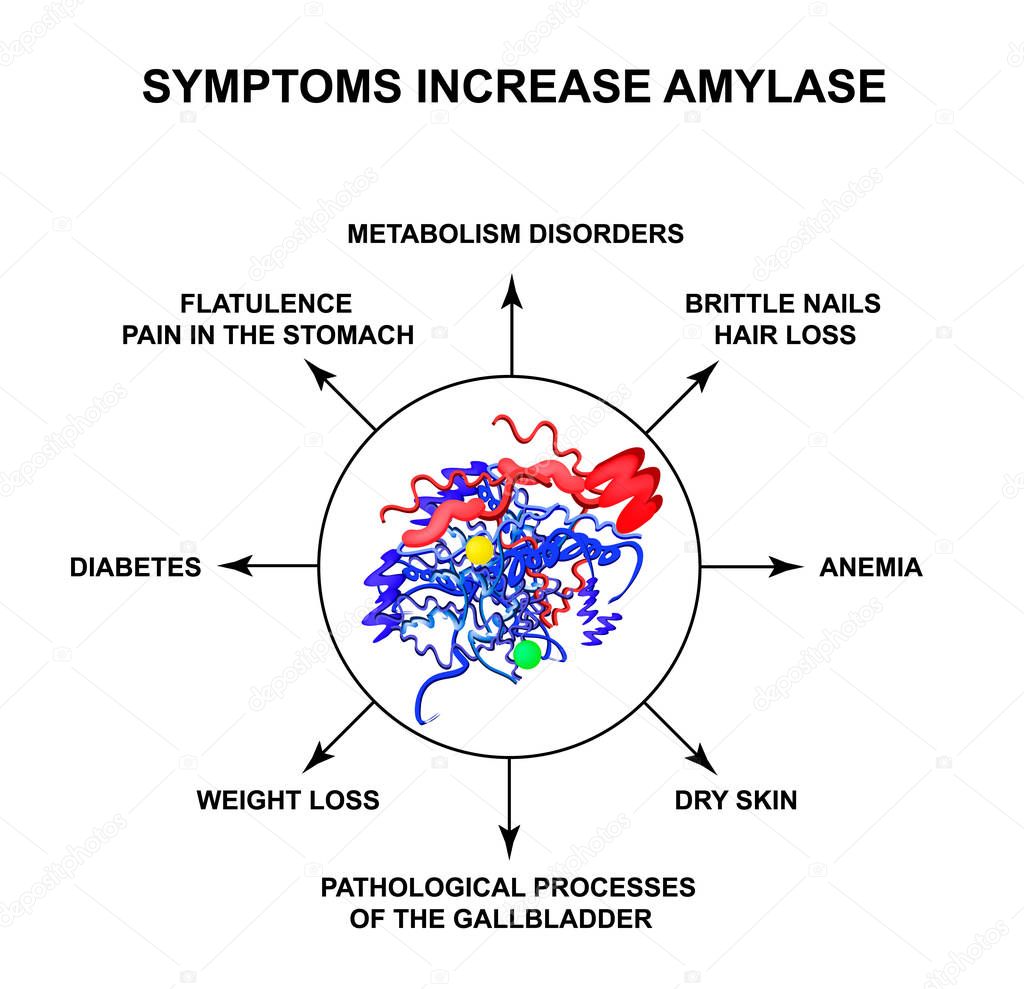 Symptoms of increased amylase. The enzyme amylase. Infographics. Vector illustration on isolated background.