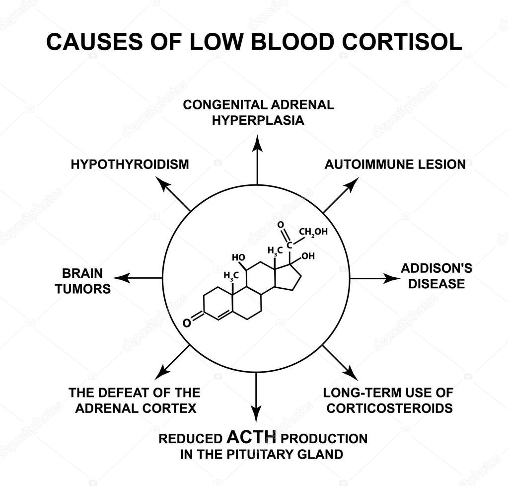 Causes of low blood cortisol. The stress hormone cortisol is a chemical molecular formula. Infographics. Vector illustration on isolated background.