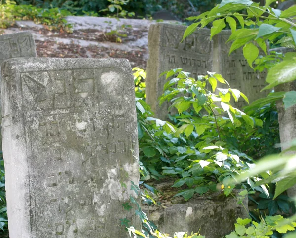 Stary cmentarz żydowski. Groby żydowskie i pomniki — Zdjęcie stockowe