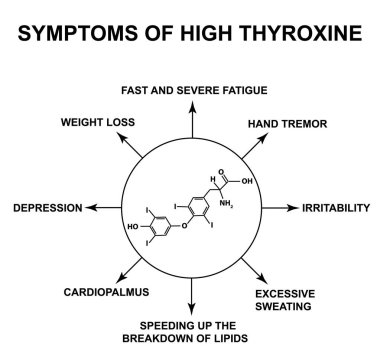 Symptoms of high thyroxine. Thyroxine thyroid hormone. Infographics. Vector illustration on isolated background. clipart
