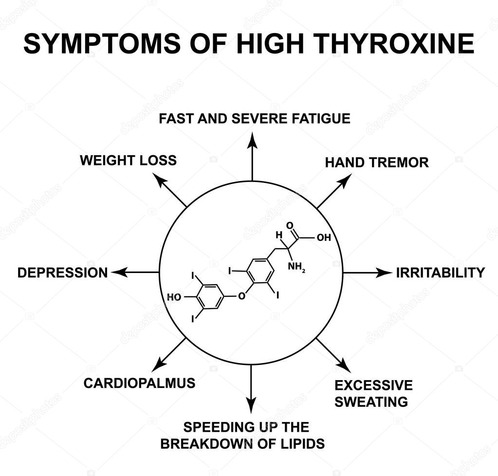 Symptoms of high thyroxine. Thyroxine thyroid hormone. Infographics. Vector illustration on isolated background.