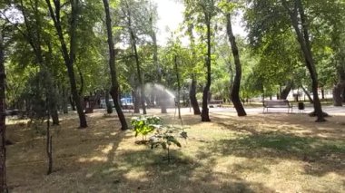 Yağmurlama sistemi kullanarak Bahçe sulama.