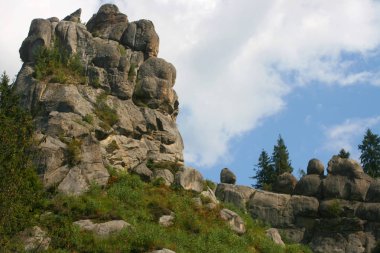 Ormanın ortasında taş dağ.