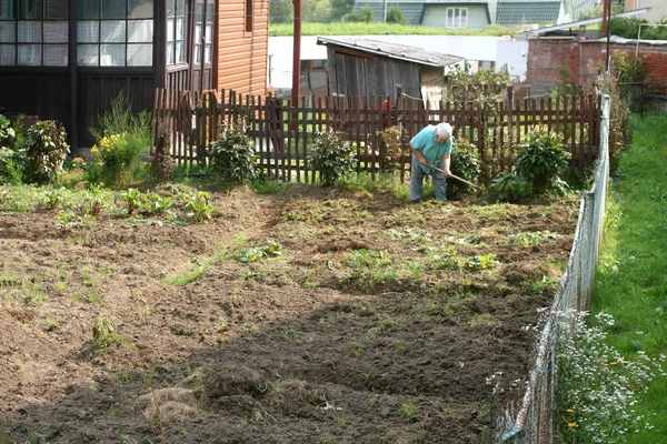 庭菜園で働く田舎の女性. — ストック写真