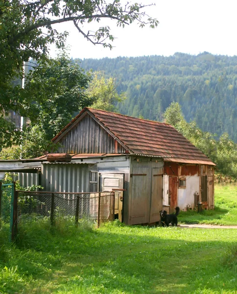 Dekoracyjne zup z pach drzew. Drewniane zup. — Zdjęcie stockowe