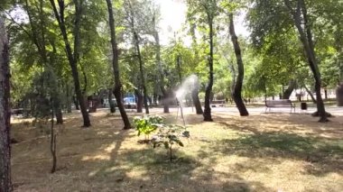 Yağmurlama sistemi kullanarak Bahçe sulama.