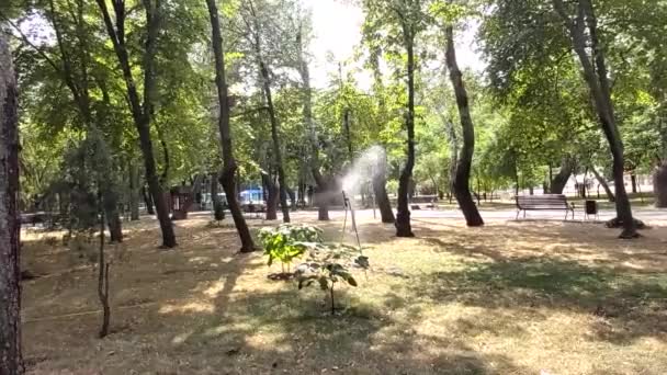 Arroser le jardin à l'aide d'un système d'arrosage .