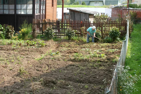 Сільська жінка працює в саду овочевого саду . — стокове фото