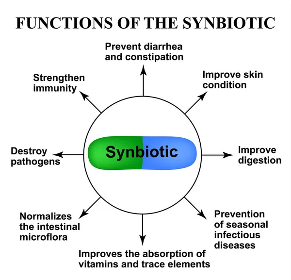 Funciones del sinbiótico. Probiótico, prebiótico. Disbacteriosis. Infografías. Ilustración vectorial sobre fondo aislado . — Vector de stock