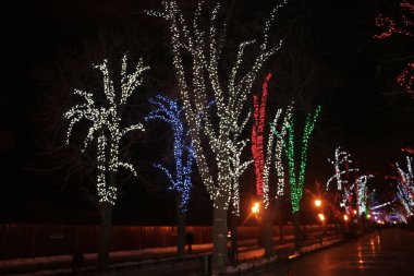 Renkli ışıklarla sokaktaki ağaçlar. Yeni Yıl Noel'i. Kar taneleri, süslemeler.