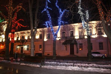 Renkli ışıklarla sokaktaki ağaçlar. Yeni Yıl Noel'i. Kar taneleri, süslemeler.
