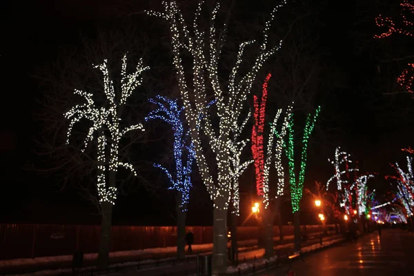 Trees on the street in colored lights. New Year Christmas. Snowflakes, decorations.