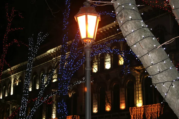 Bäume auf der Straße in farbigen Lichtern. Neujahr Weihnachten. Schneeflocken, Dekorationen. — Stockfoto