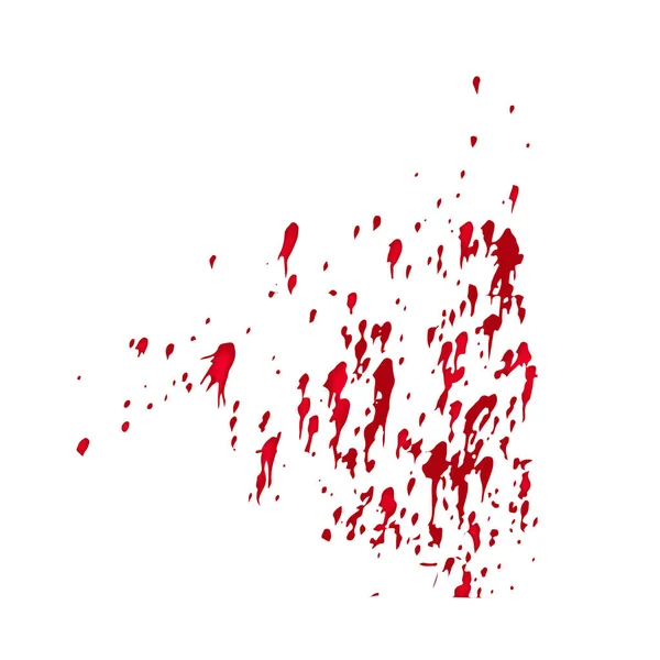 A spot of blood. Stains blood splatter. spray. Vector illustration on isolated background. — Stock Vector