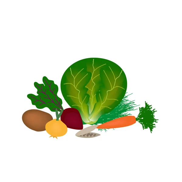 Verduras para borscht rojo sobre un fondo aislado. Col, zanahorias, cebollas, patatas, remolacha, hinojo. Ilustración vectorial — Vector de stock