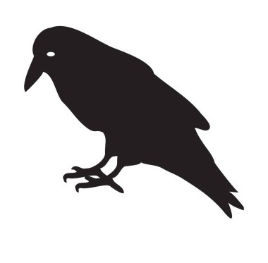Siyah bir kuzgun silueti. Karga. İzole edilmiş arkaplanda vektör illüstrasyonu.