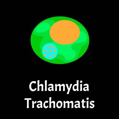 Chlamydia trachomatis. Bacterial infections Chlamydiosis. Sexually transmitted diseases. Infographics. Vector illustration on isolated background. clipart