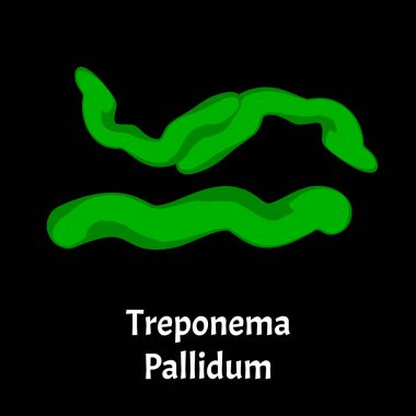 Frengi. Treponema pallidum, Spirochaetaceae. Bakteriyel enfeksiyonlar. Cinsel yolla bulaşan hastalıklar. Bilgi grafikleri. İzole edilmiş arkaplanda resimler.