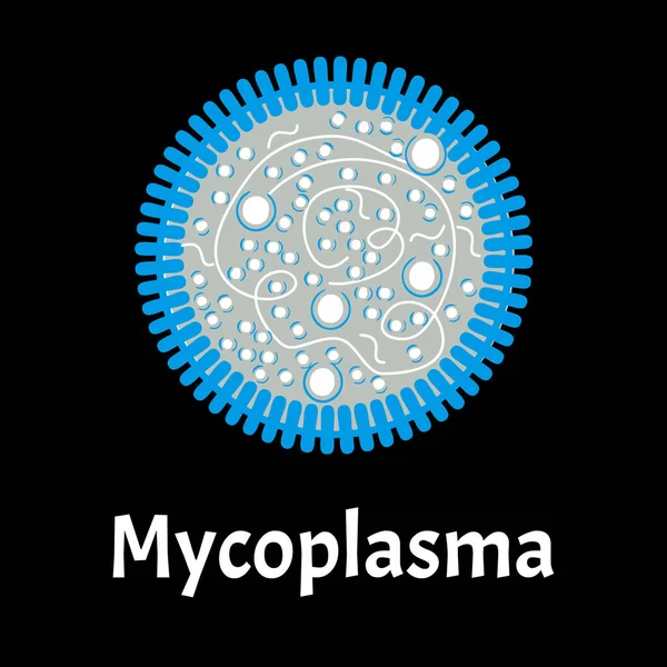 Мікоплазма. Бактеріальні інфекції Mycoplasma. Статево-передані хвороби. Інфографіка. Вікторна ілюстрація на ізольованому тлі. — стоковий вектор
