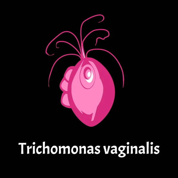 Trichomonas vaginal. Infografías. Ilustración vectorial sobre fondo aislado . — Vector de stock