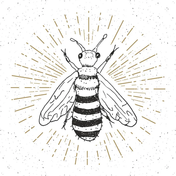 Etiqueta Vintage Abeja Dibujada Mano Placa Textura Grunge Plantilla Logotipo — Archivo Imágenes Vectoriales