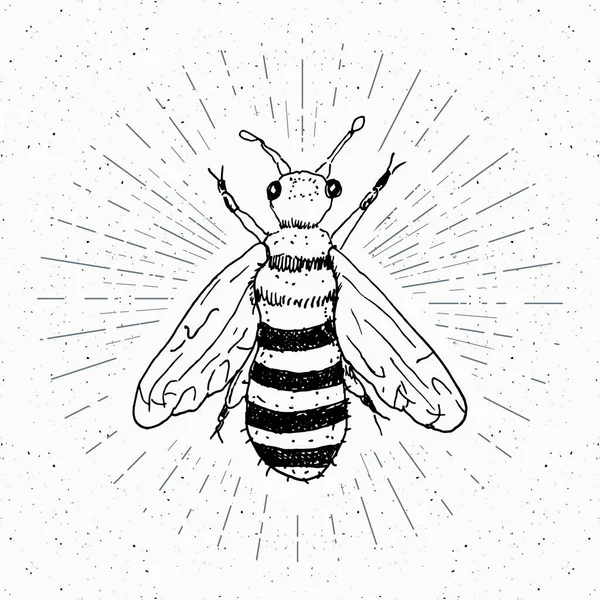 Vintage Label Ručně Tažené Bee Grunge Texturou Odznak Retro Logo — Stockový vektor