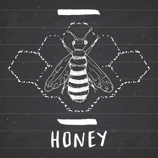Vintage Label Hand Getekende Bee Grunge Getextureerde Badge Retro Logo — Stockvector