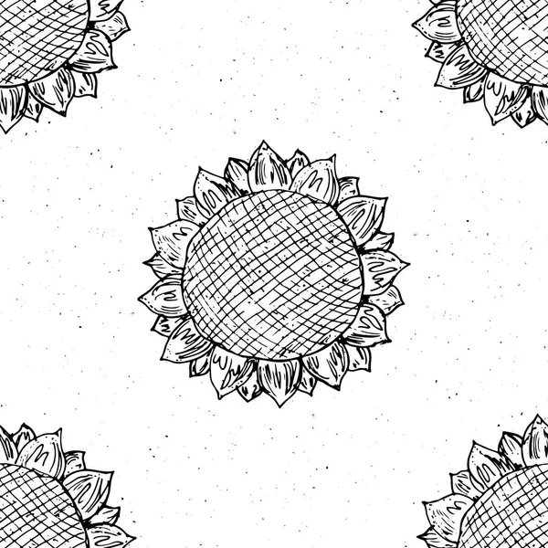 Słonecznikowy Wzór Ręcznie Rysowane Szkic Tła Typografia Projektowanie Ilustracji Wektorowych — Wektor stockowy