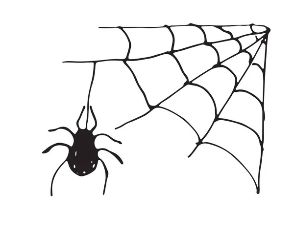 Spiderweb Handgetekend Web Vector Illustratie Geïsoleerd Witte Achtergrond — Stockvector