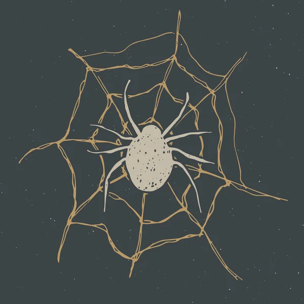 Etiqueta Vintage Araña Tela Dibujo Dibujado Mano Tarjeta Felicitación Halloween — Archivo Imágenes Vectoriales