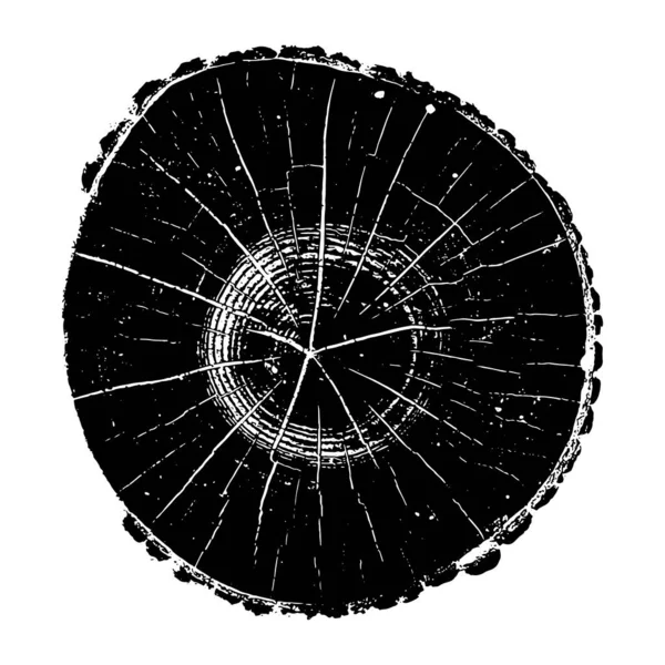 Grumes Arbre Anneaux Croissance Bois Illustration Vectorielle Texture Grunge — Image vectorielle