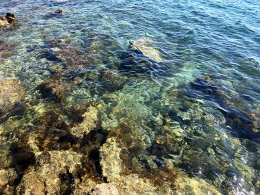 Deniz yatağı ve berrak deniz!